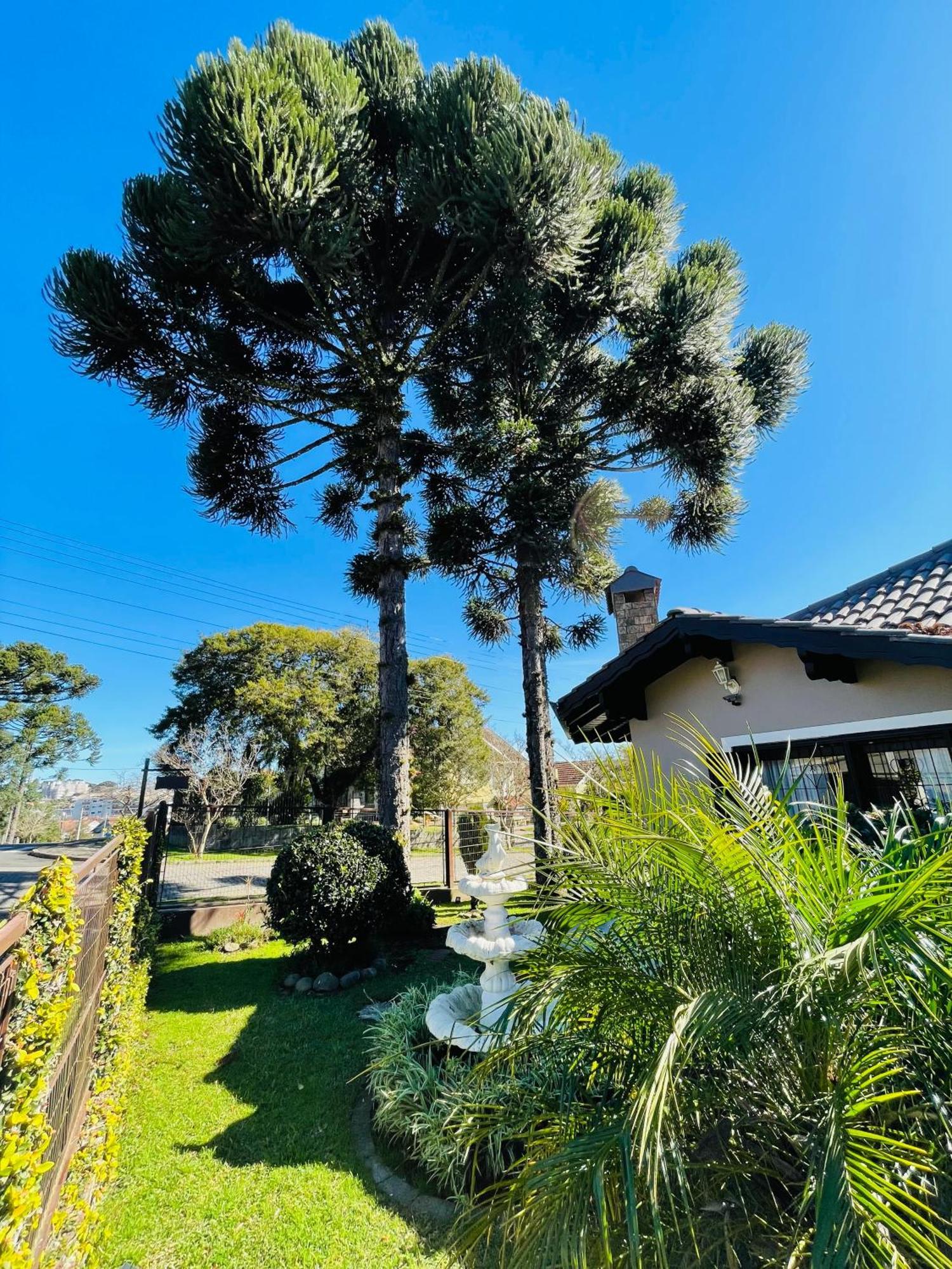 Residencial Pine House Hotel Canela Kültér fotó